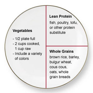 Sci+241+week+7+healthy+eating+plan+comparison