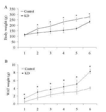 percentage of failed keto diet