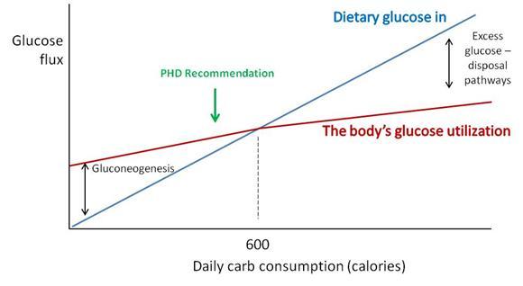 Perfect Health Diet Jaminet Review Of Literature