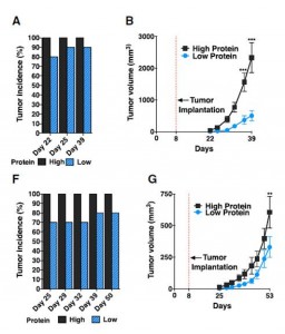 Longo et al Figure 3