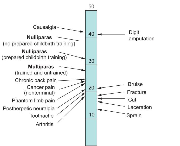 Mcgill Index Chart