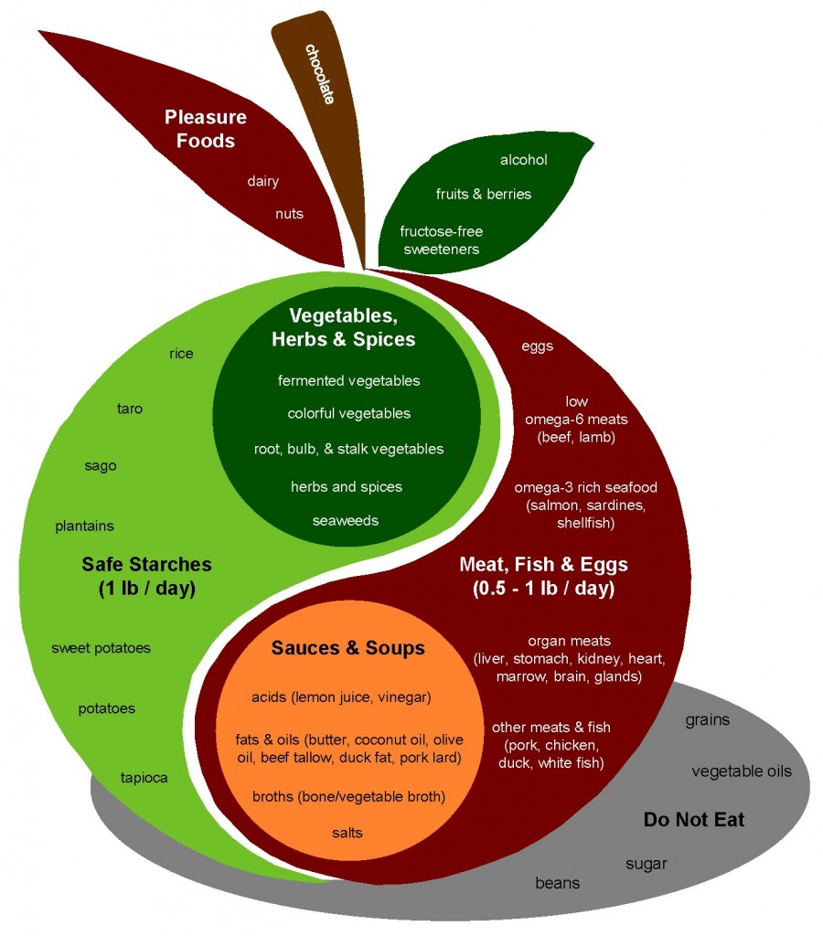 Odds and Ends Q&A Page, Food Plate, Etc. Perfect Health Diet