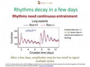 Seth Roberts 02 - Circadian Decay